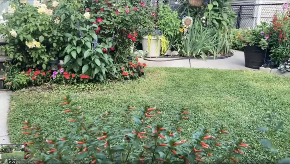 "What a busy lil guy!"