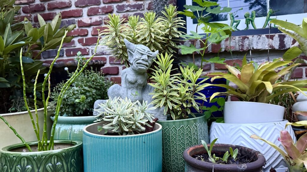 a little snapshot of a favorite place 🥰