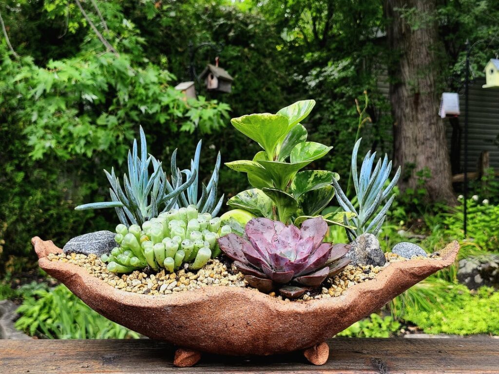 Bought my first plants and made this with my mom !