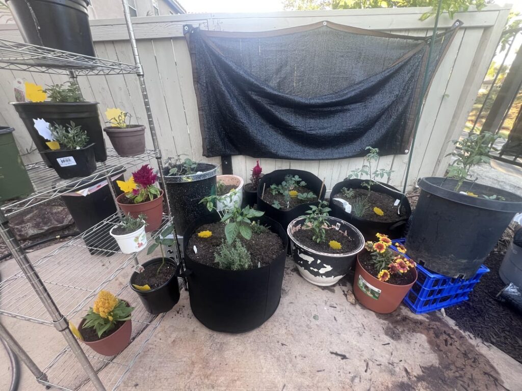 Why not learn gardening during Summer in Zone 9b