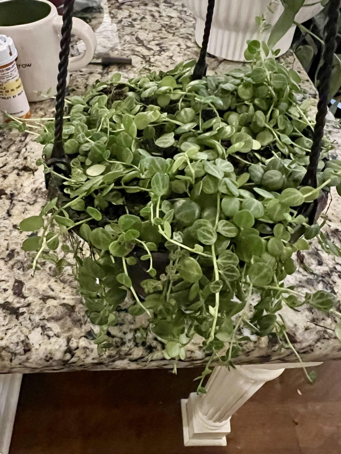 Is this what I think it is?