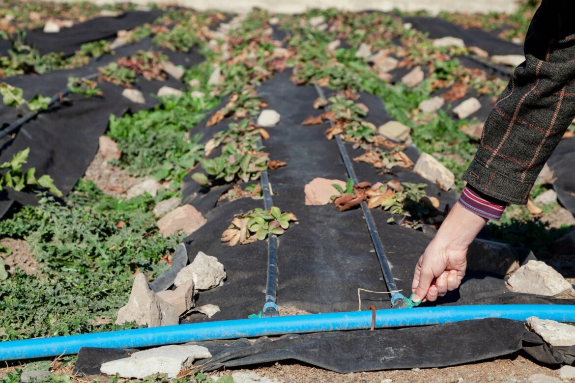 ‘The sooner you bite the bullet … the better’ "The longer it sits in there, the more difficult it will be to remove later."