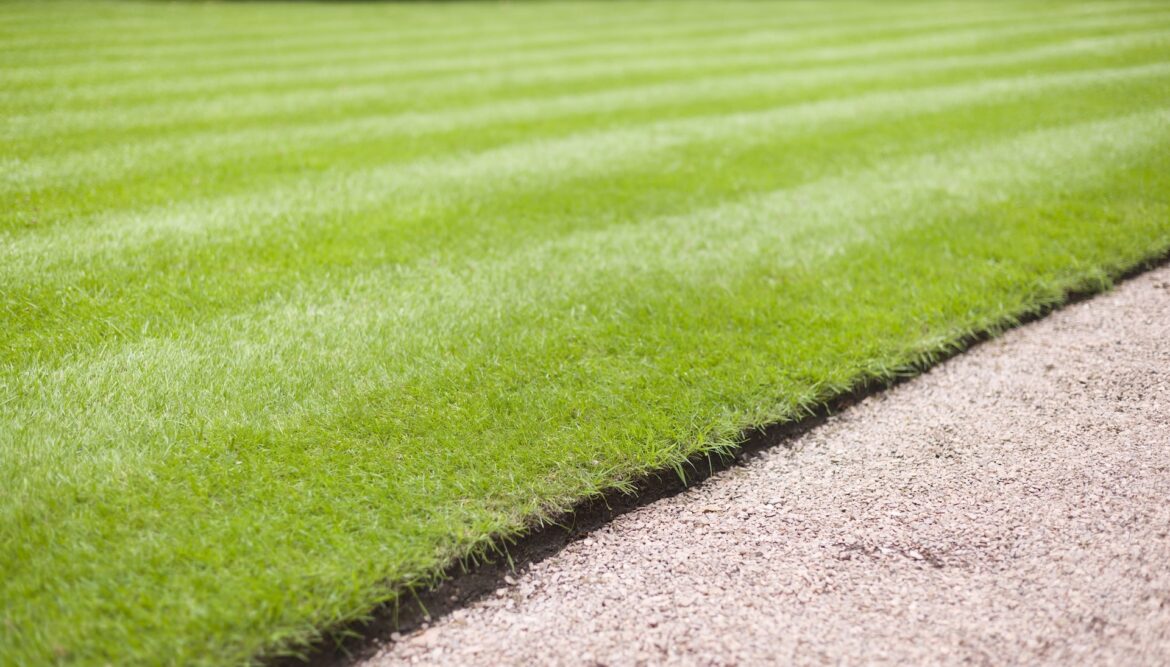 ‘It is poison going into your soil’ "It's all about working with nature and not trying to fight it."