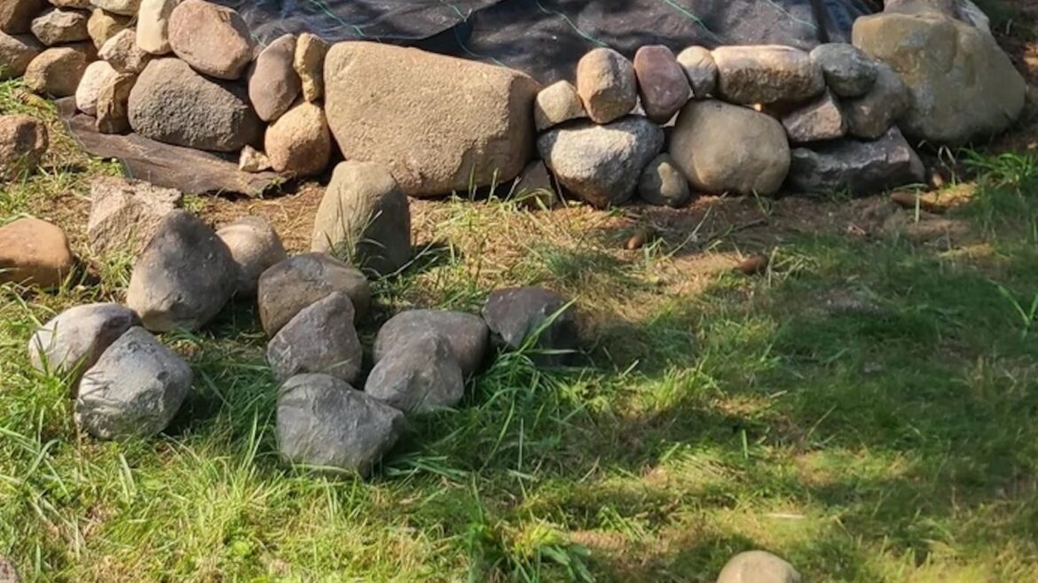 Gardener receives unexpected advice after sharing pictures of backyard project: 'Luckily I asked'