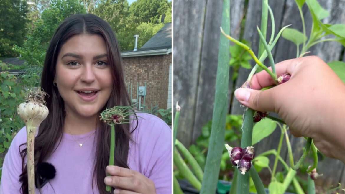 "If we all knew this type of info, we could end hunger."