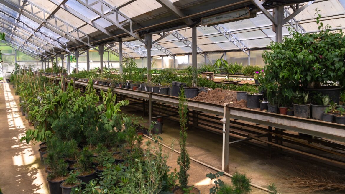 "They should be fined."