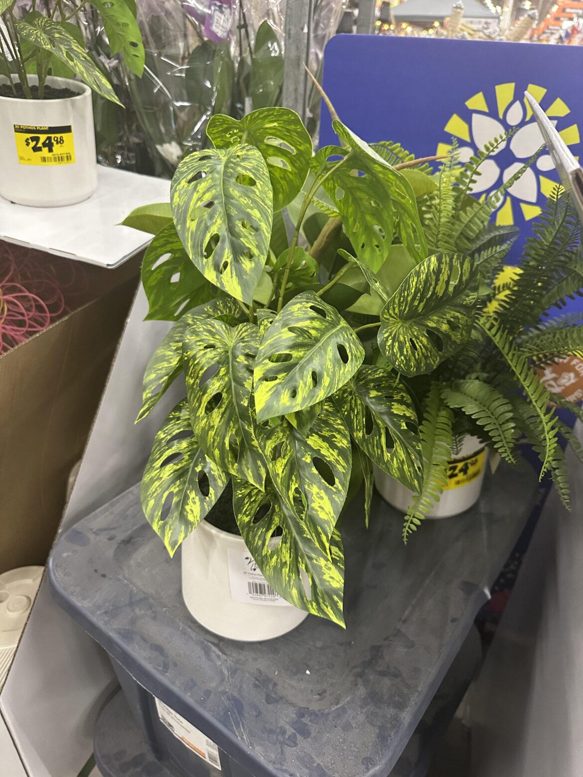 oh god i want it so bad