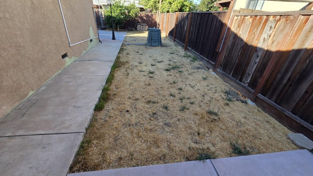 DG or Gravel for this strip of weeds? DG or Gravel for this strip of weeds?