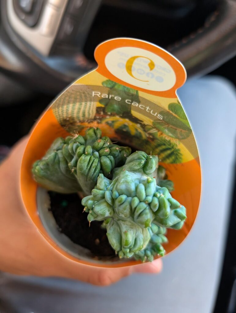 TBM-C from Walmart- did I win?