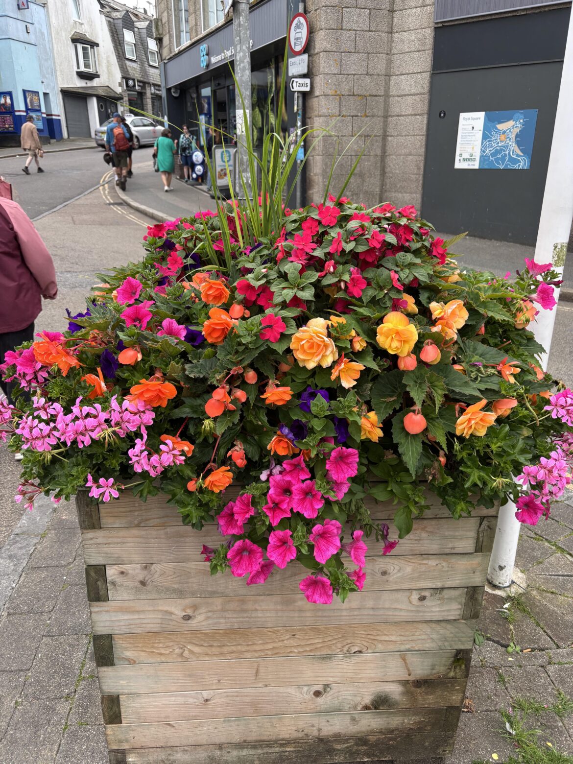 HOW do people achieve this look?