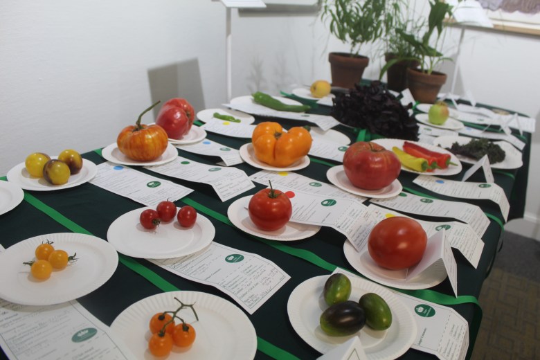 Horticulture entries into the Monadnock Rhapsody flower show. ASHLEY SAARI/Ledger-Transcript