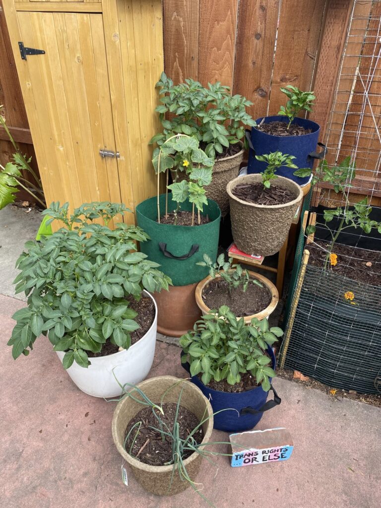 My babies are thriving! My babies are thriving!