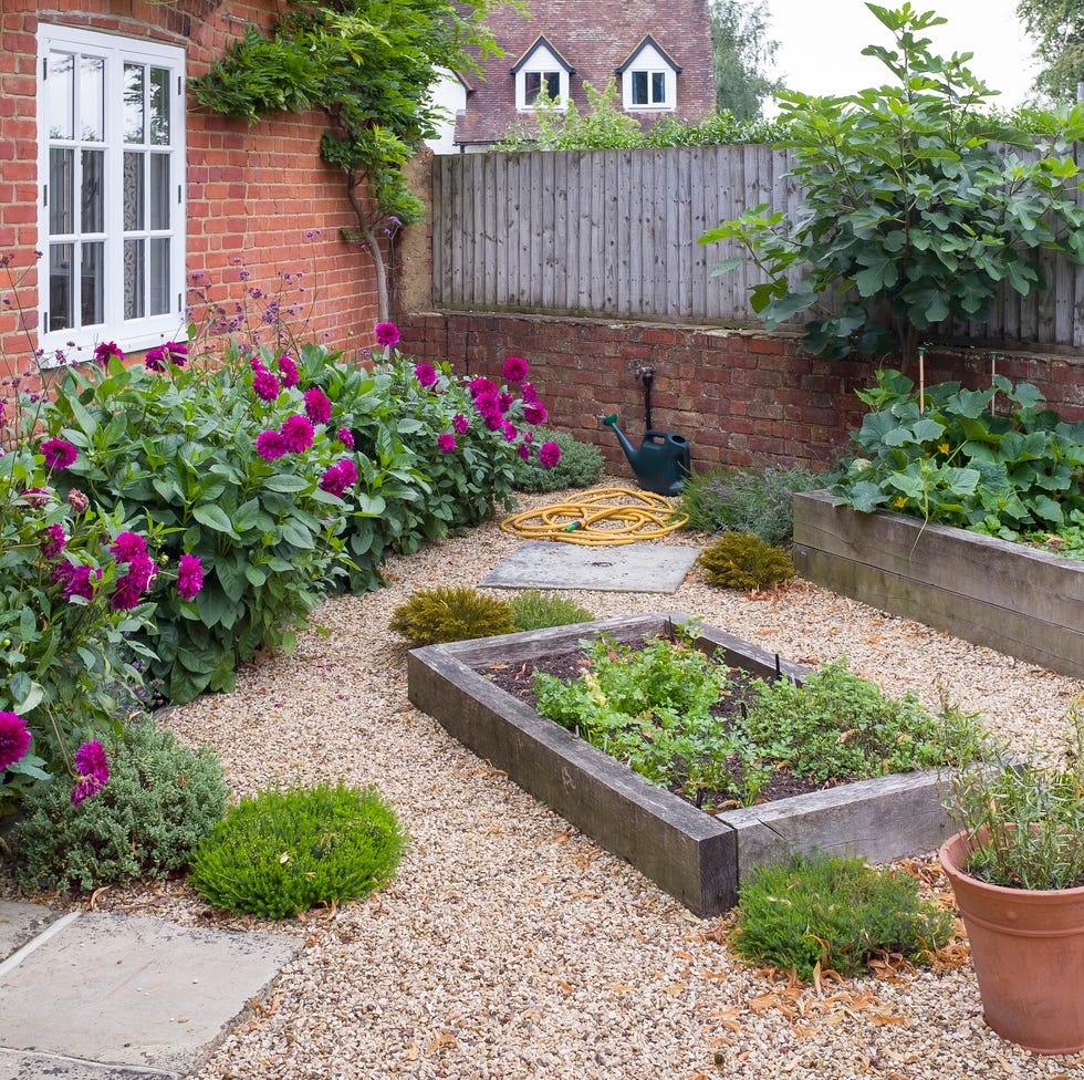 english cottage garden with gravel, uk. york stone paving and oak sleeper raised beds