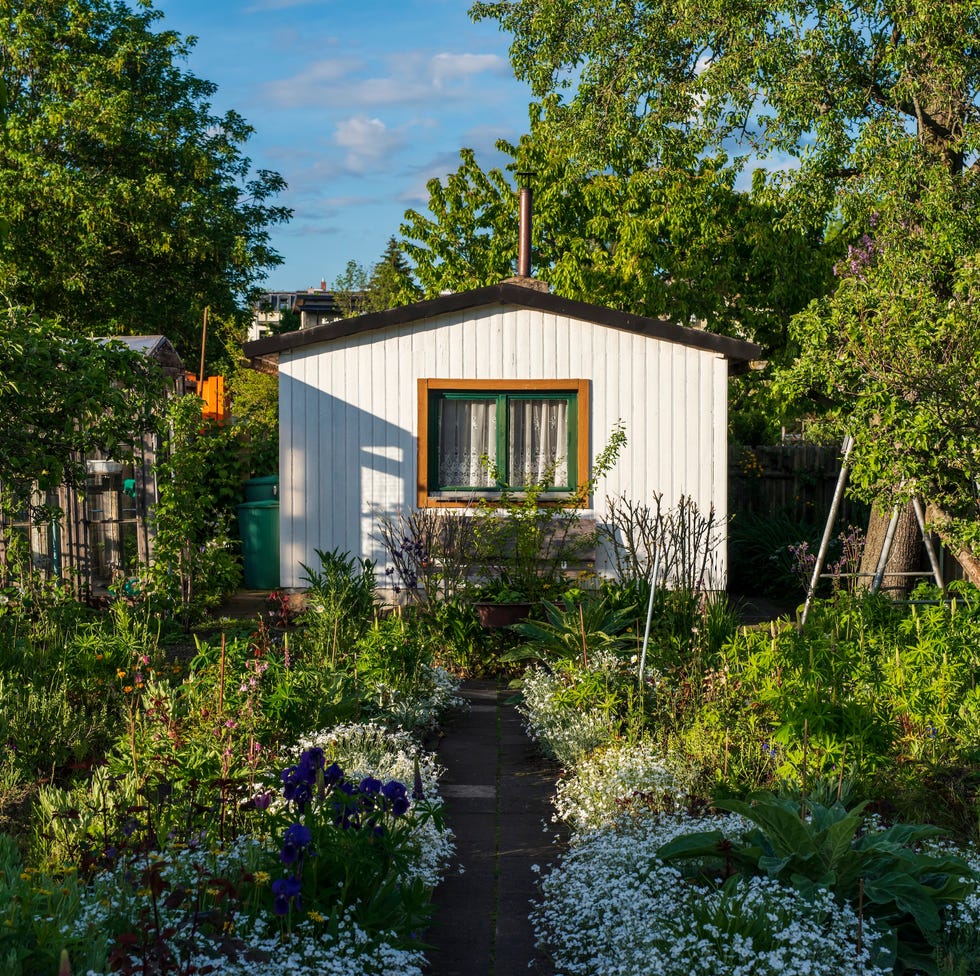 shed in a garden