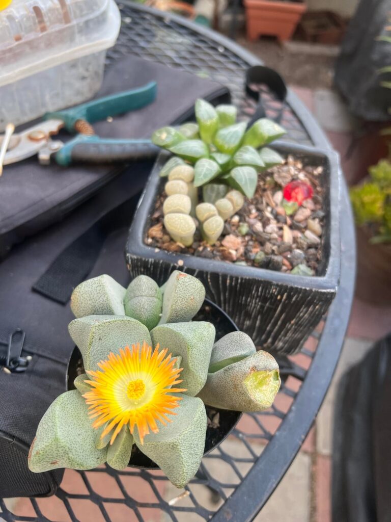 I underestimated how much room I had… I underestimated how much room I had…