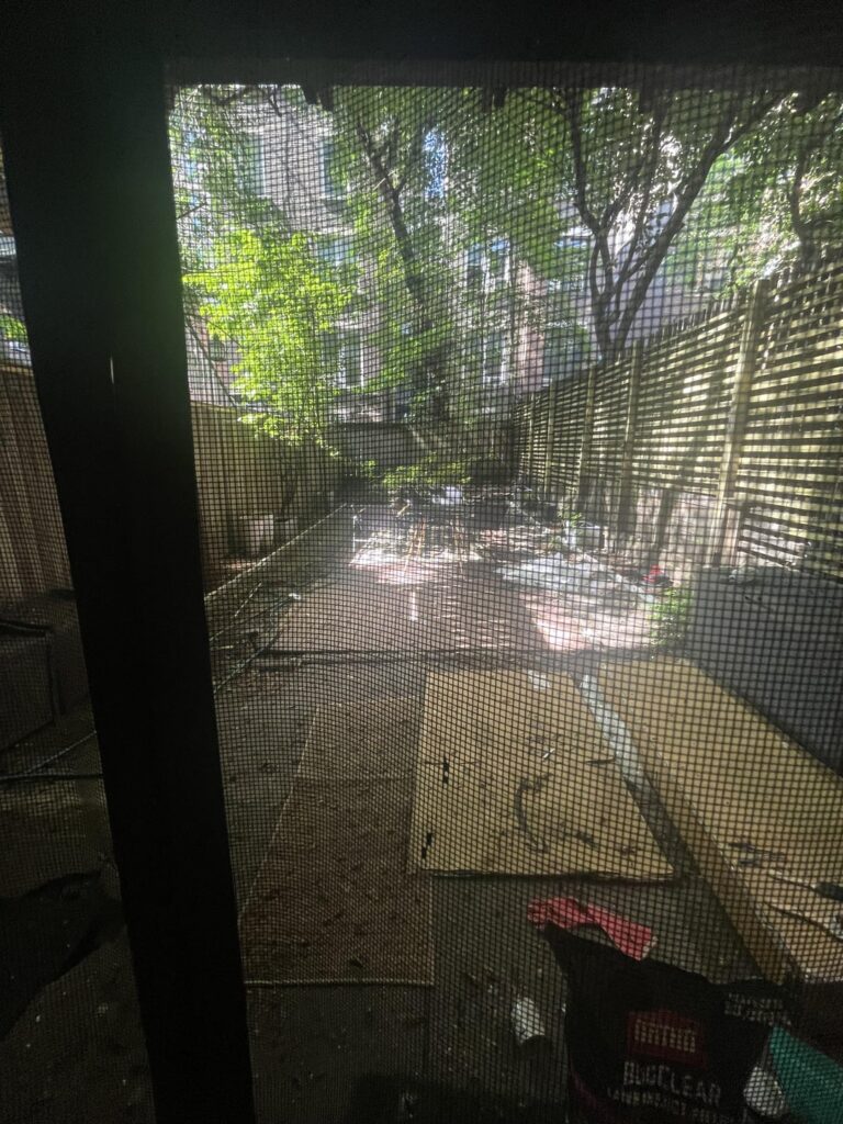 black thumb seeking help on what to plant in NYC