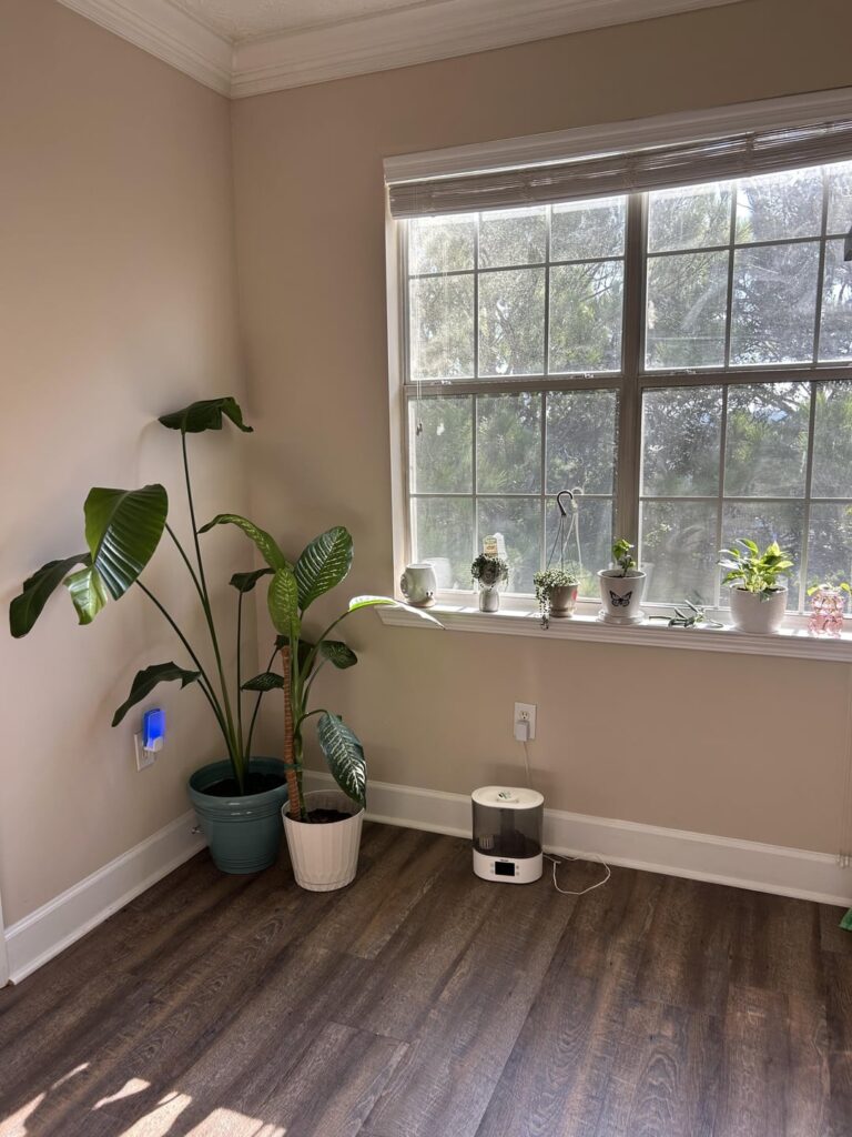 Moved into a new apartment and I can’t control myself