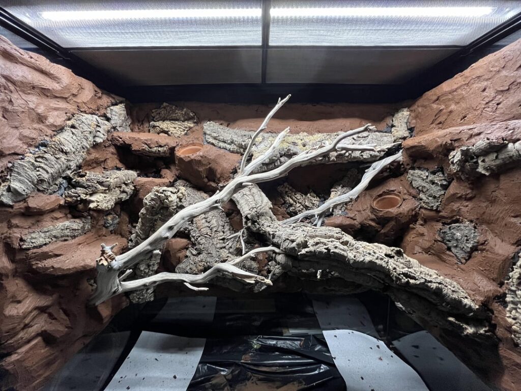 Further progress on 90x45x90 gargoyle gecko vivarium