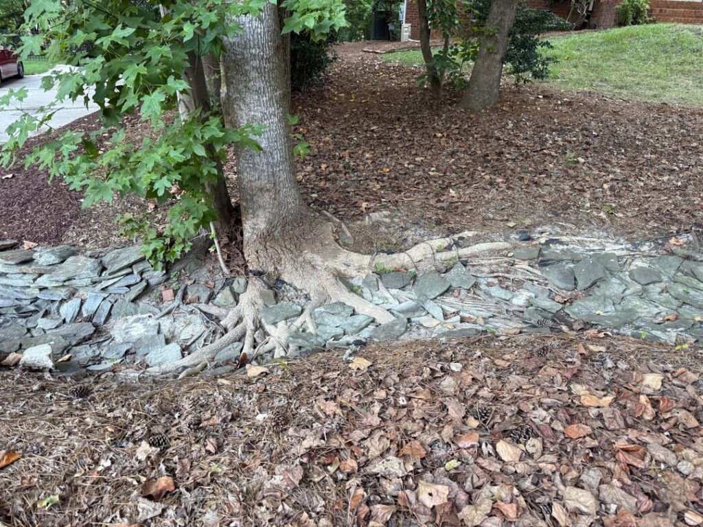 Saw this during a home inspection