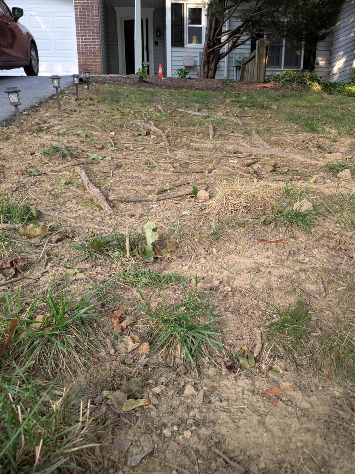 Hi, I'm looking at converting my sloped yard to a Pennsylvania sedge yard (Pennsylvania/7a) does anyone have any recommendations on spacing ? Different sources have different recommendations, would like it a little bit dense to keep weeds and ivy away.