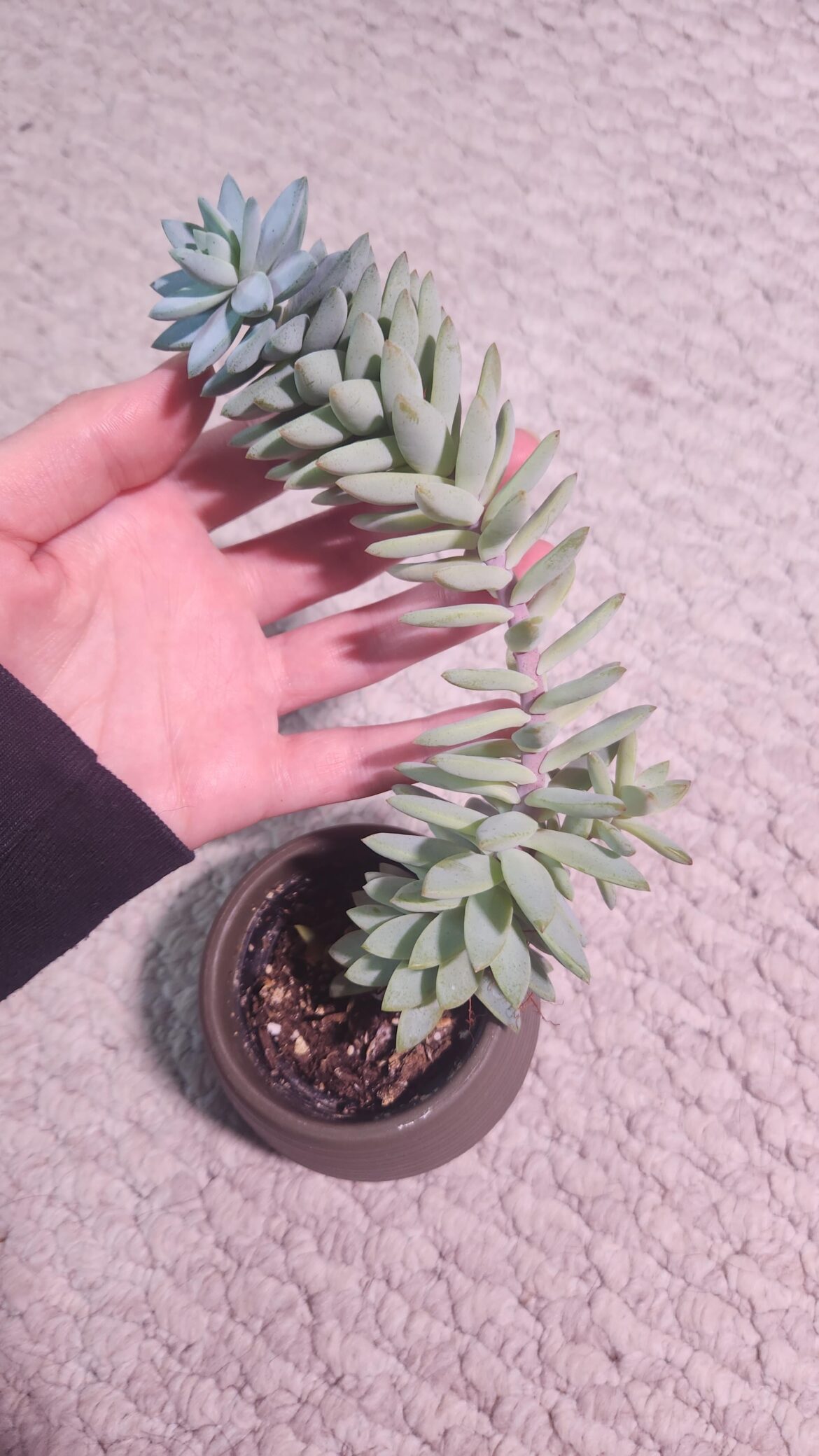 What should I do with this thing