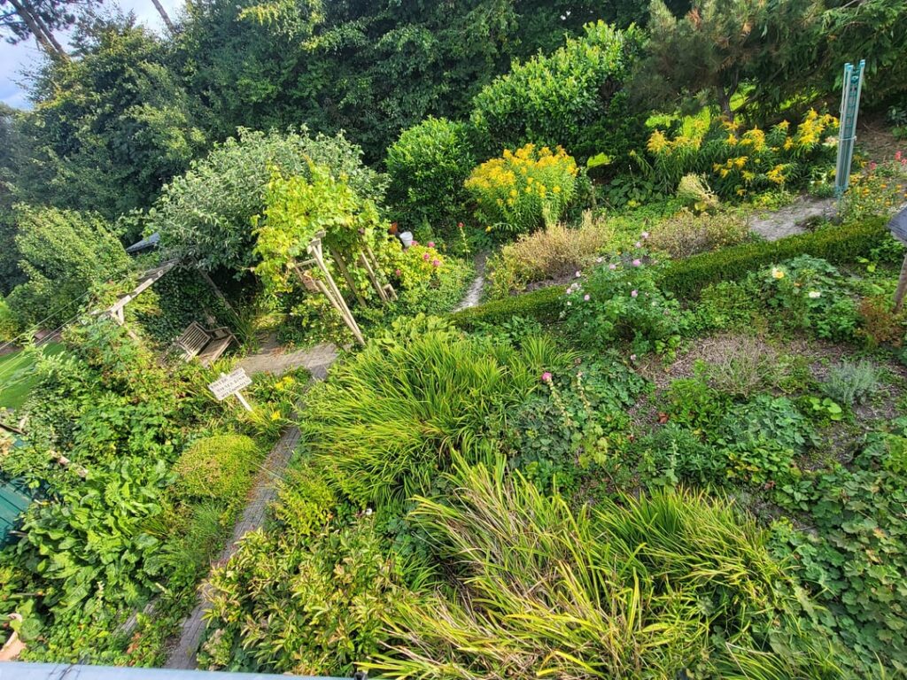 My grandma has the most beautiful garden