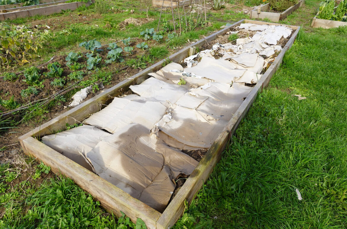 "I am a big believer."