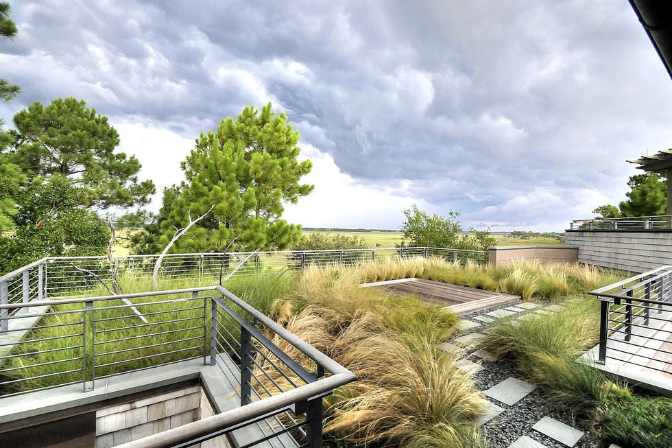 living roofs