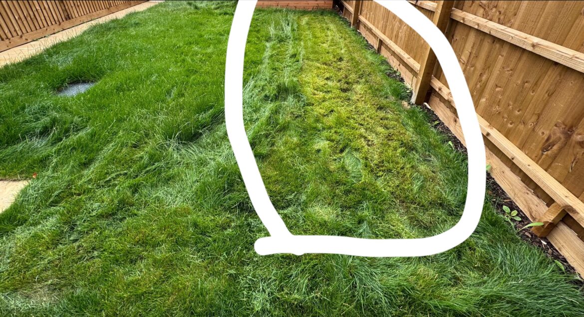 How do you mow the lawn correctly? How do you mow the lawn correctly?