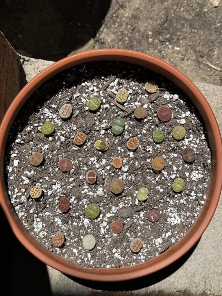 Need help