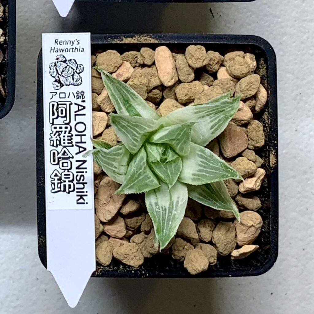 Before(01/2021) vs Now