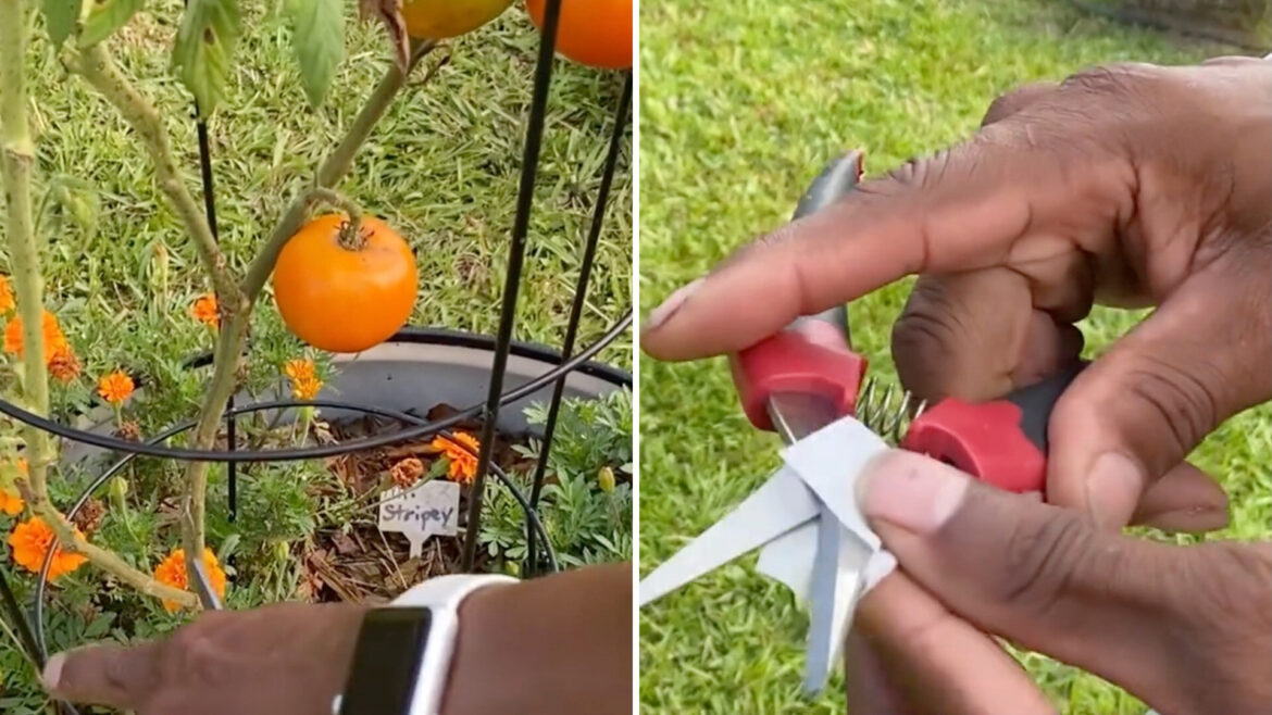 "My goodness, I enjoyed watching this. So much knowledge."