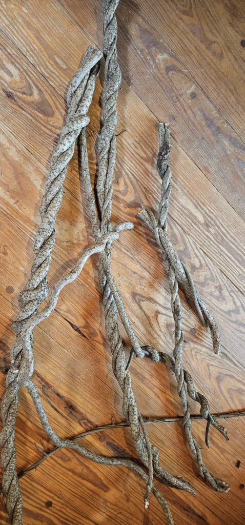 Foraging success or fail? Foraging success or fail?