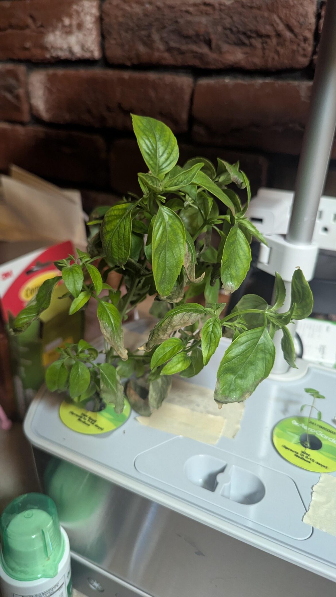 This is my first foray into hydroponics at all. This is my first foray into hydroponics at all.