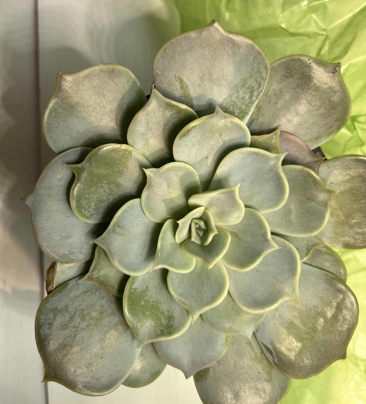ID