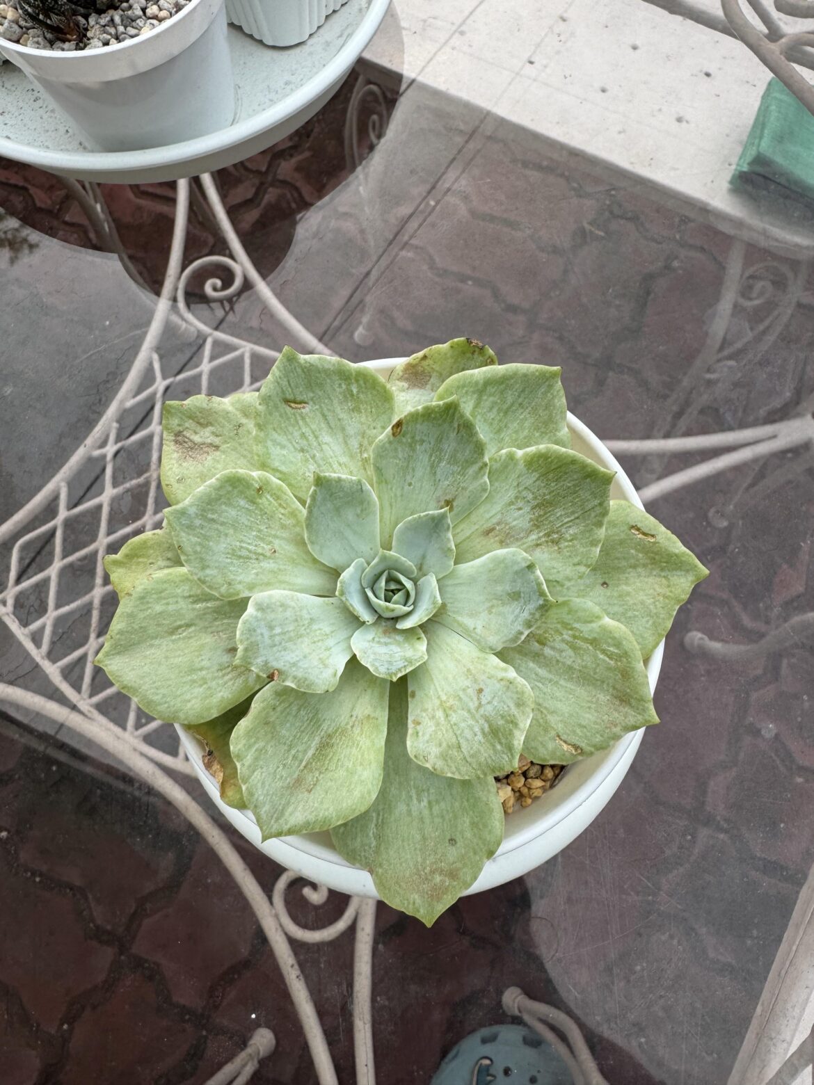 Is this sunburn?