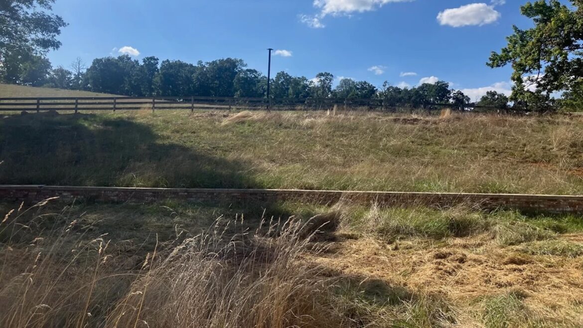 Gardener shares stunning before-and-after photos of yard transformation: ‘Amazing progress’ "Love the pics of the new residents."