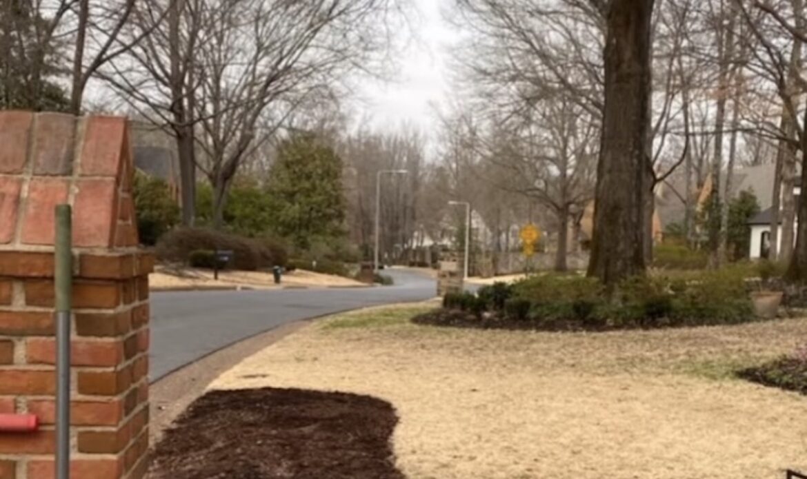 Gardener shares incredible before-and-after property transformation: ‘Stunning’ "I started by figuring out exactly what I was working with."