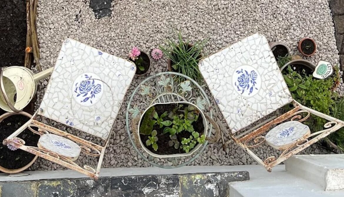 Gardener shares stunning before-and-after photos of yard transformation: ‘This is gorgeous’ "That's so inspiring."