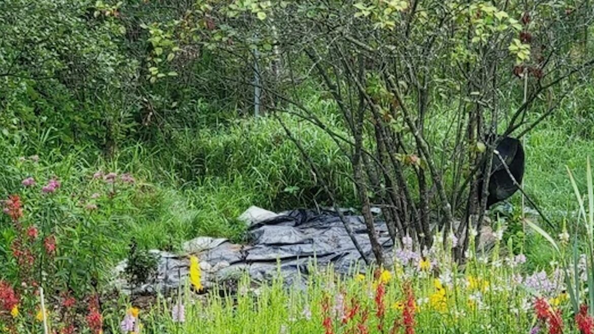 "This is so well done!"