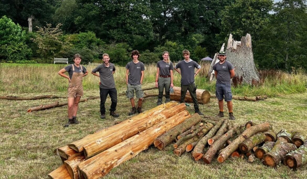 Students’ show garden debut at Rosemoor with oak stump toppled by Storm Darragh Students’ show garden debut at Rosemoor with oak stump toppled by Storm Darragh