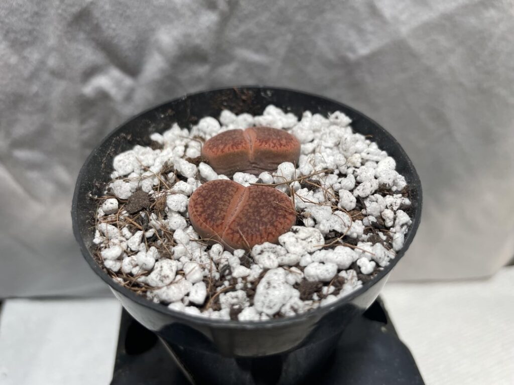 Still learning Still learning