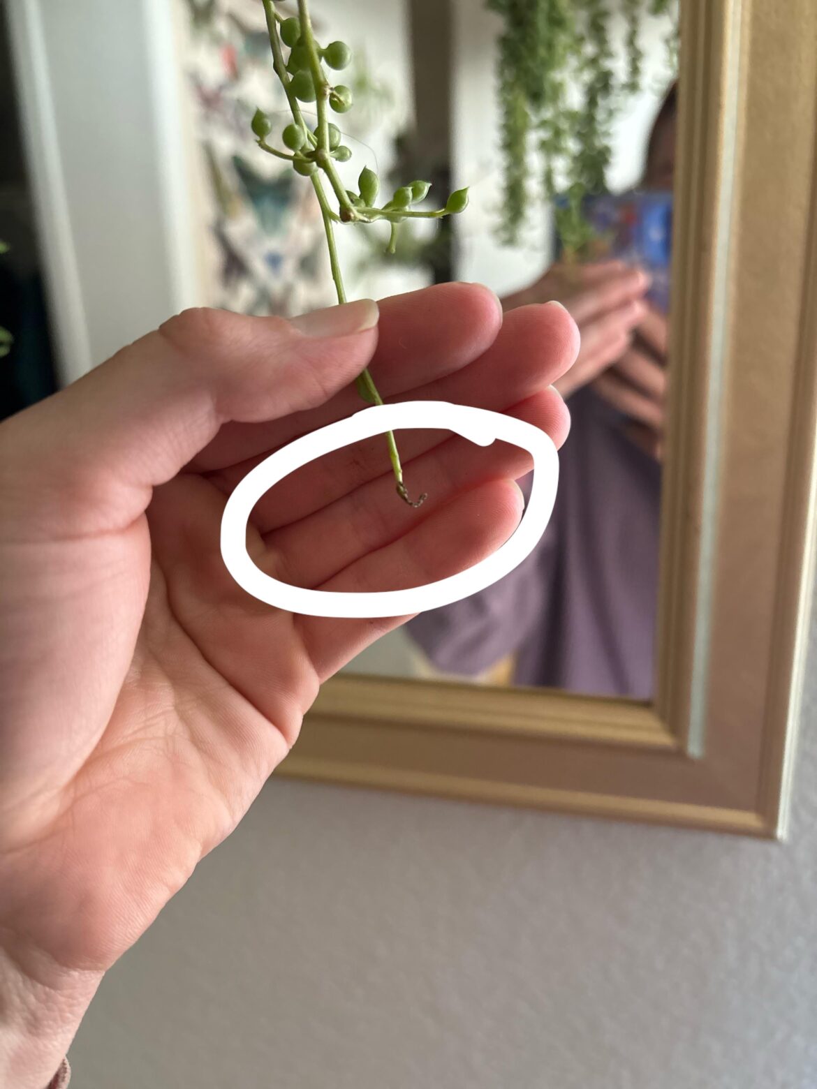 How to trim??
