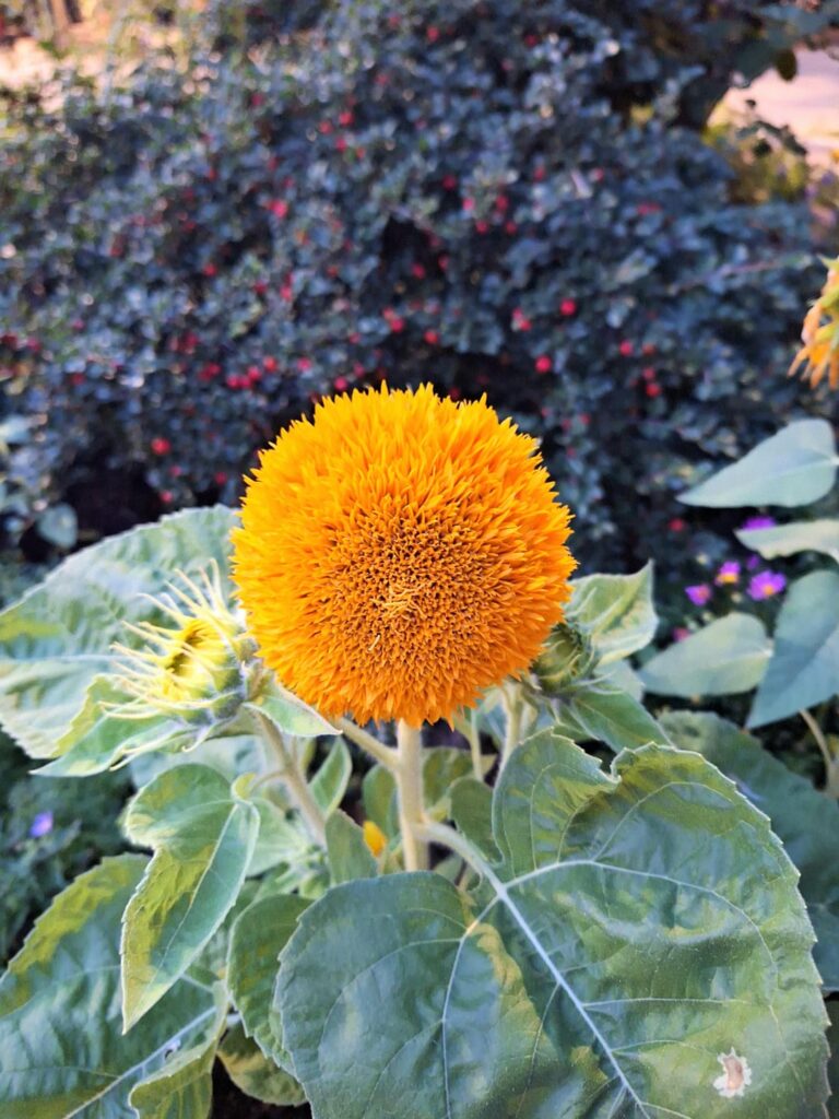 Some sort of mutation?