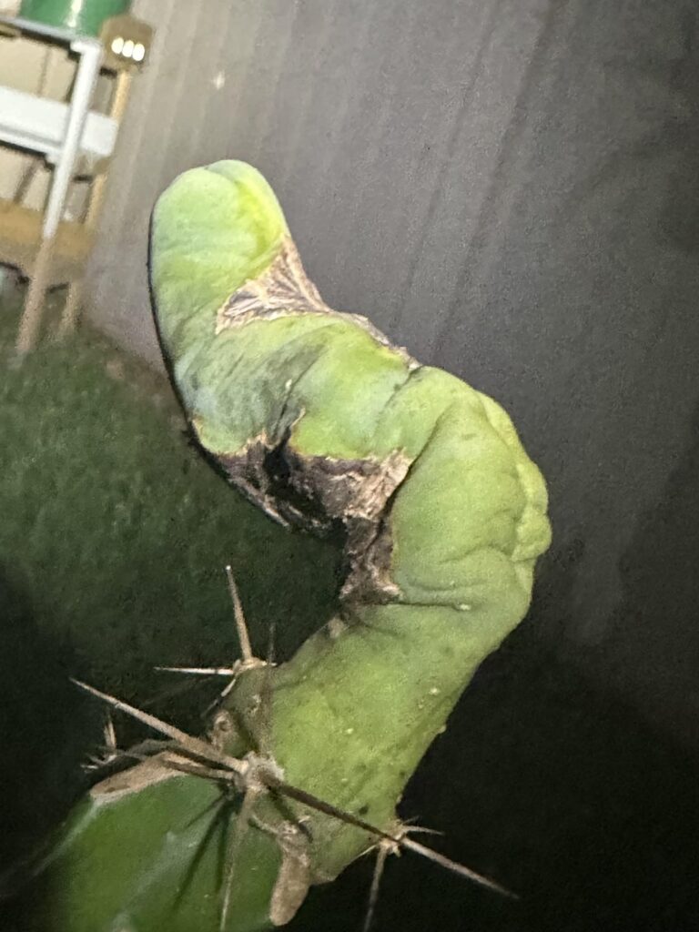 The one she told you not to worry about…