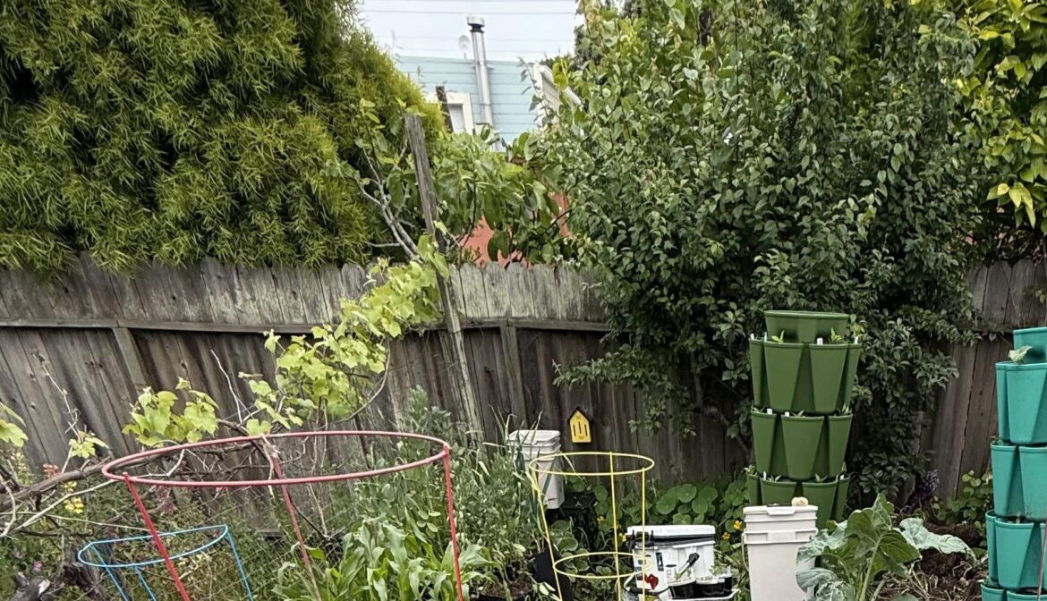 Gardener reveals hassle-free method to keep plants perfectly watered: ‘Very interesting’ "A large reduction in overall water usage."