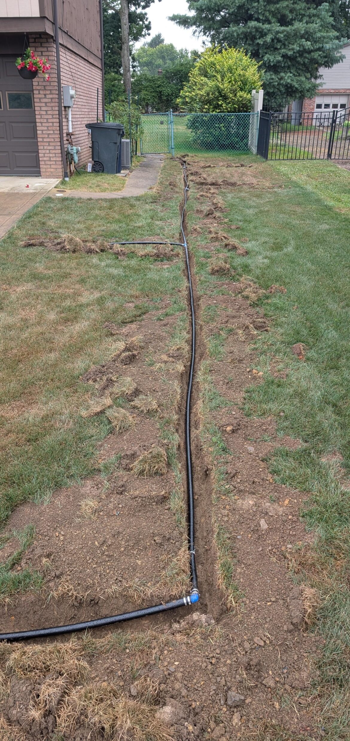 Had a few dead spots, so naturally that led to a DIY in-ground irrigation system.