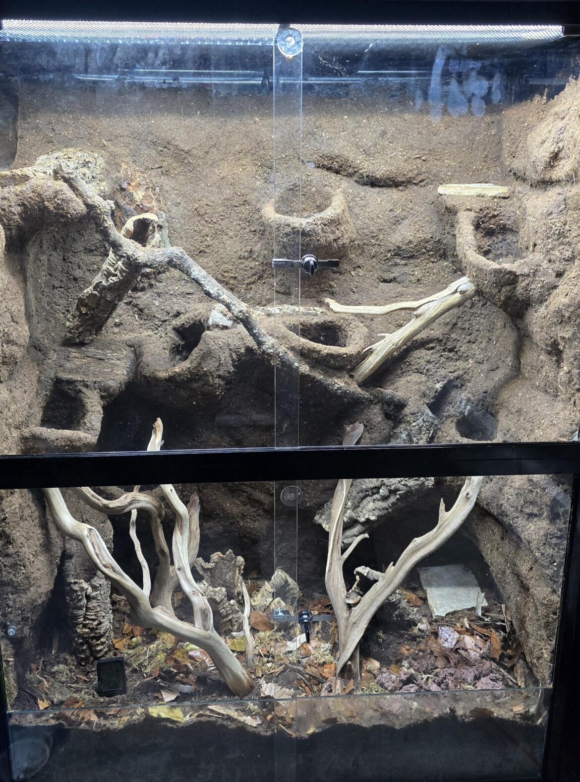 unplanted enclosure unplanted enclosure