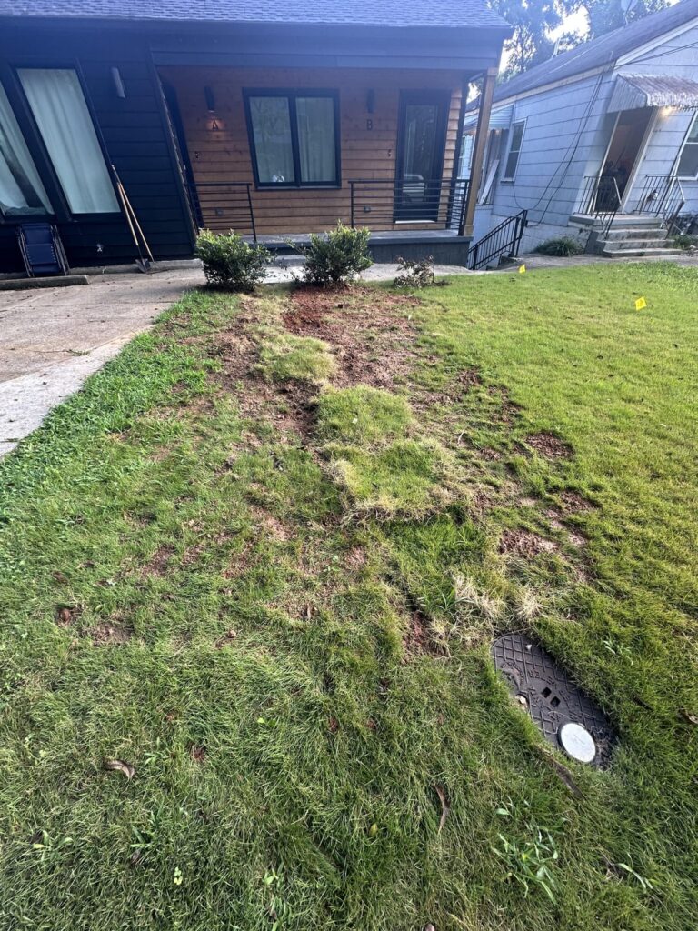 Needed a water line dug up which ruined my existing sod Needed a water line dug up which ruined my existing sod