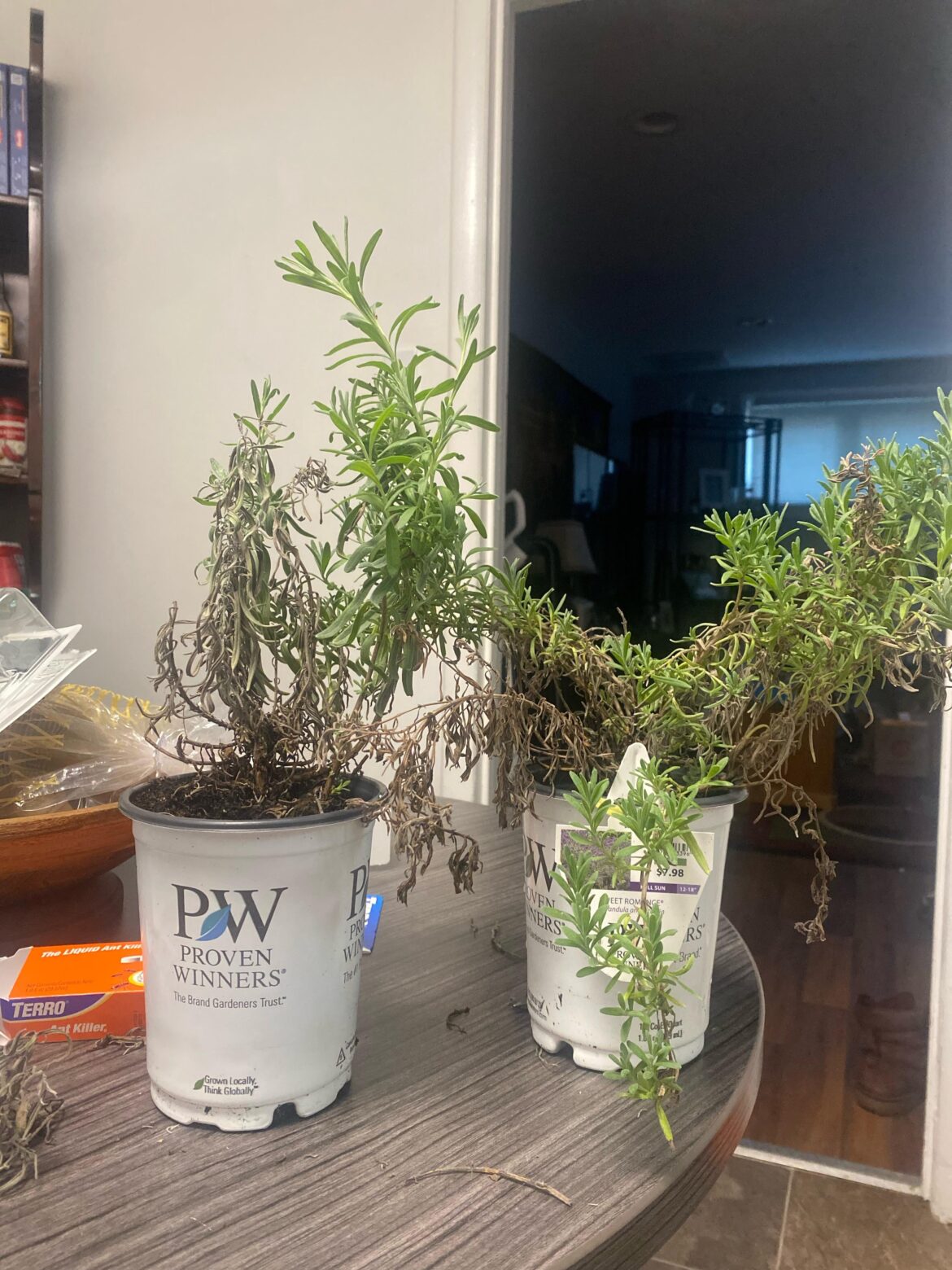 How do I save these